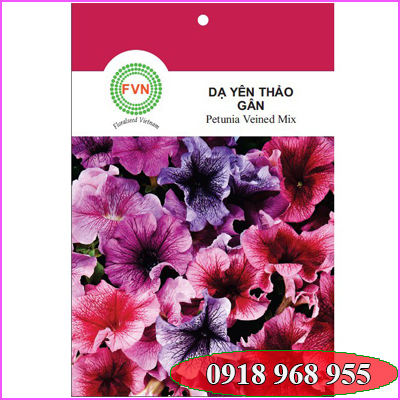 In túi hạt giống| baobigiaphat.vn